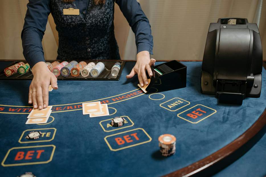 cat casino app